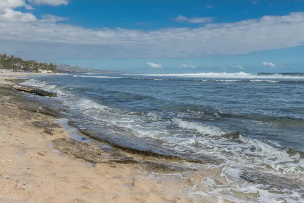 Le Petrel Blanc - Appartement Sur La Plage De La Souris Blanche Trois Bassins Exteriör bild
